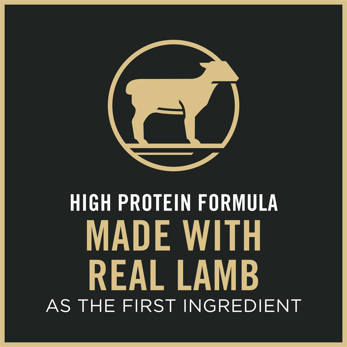 Pro Plan Sensitive Skin and Stomach Cat Food, Lamb and Rice Formula - 7 lb. Bag