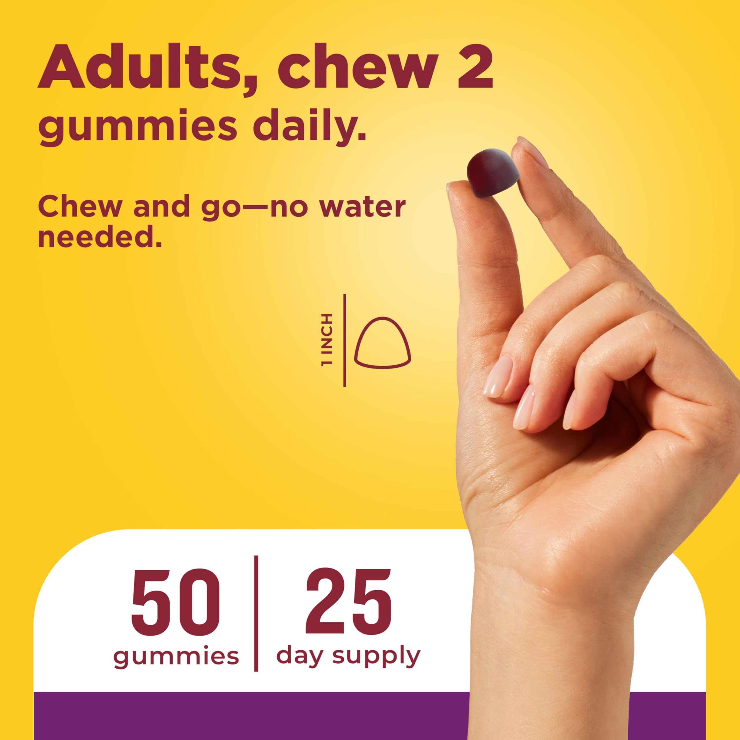 Probiotic + Prebiotic Fiber Gummies for Daily Gut Health, Fiber Supplement with Probiotics for Digestive Health Support, 50 Gummies, 25 Day Supply