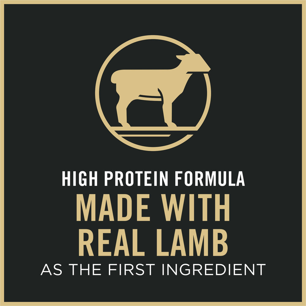 Pro Plan Sensitive Skin and Stomach Cat Food, Lamb and Rice Formula - 7 lb. Bag