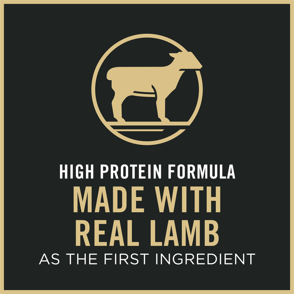 Pro Plan Sensitive Skin and Stomach Cat Food, Lamb and Rice Formula - 7 lb. Bag