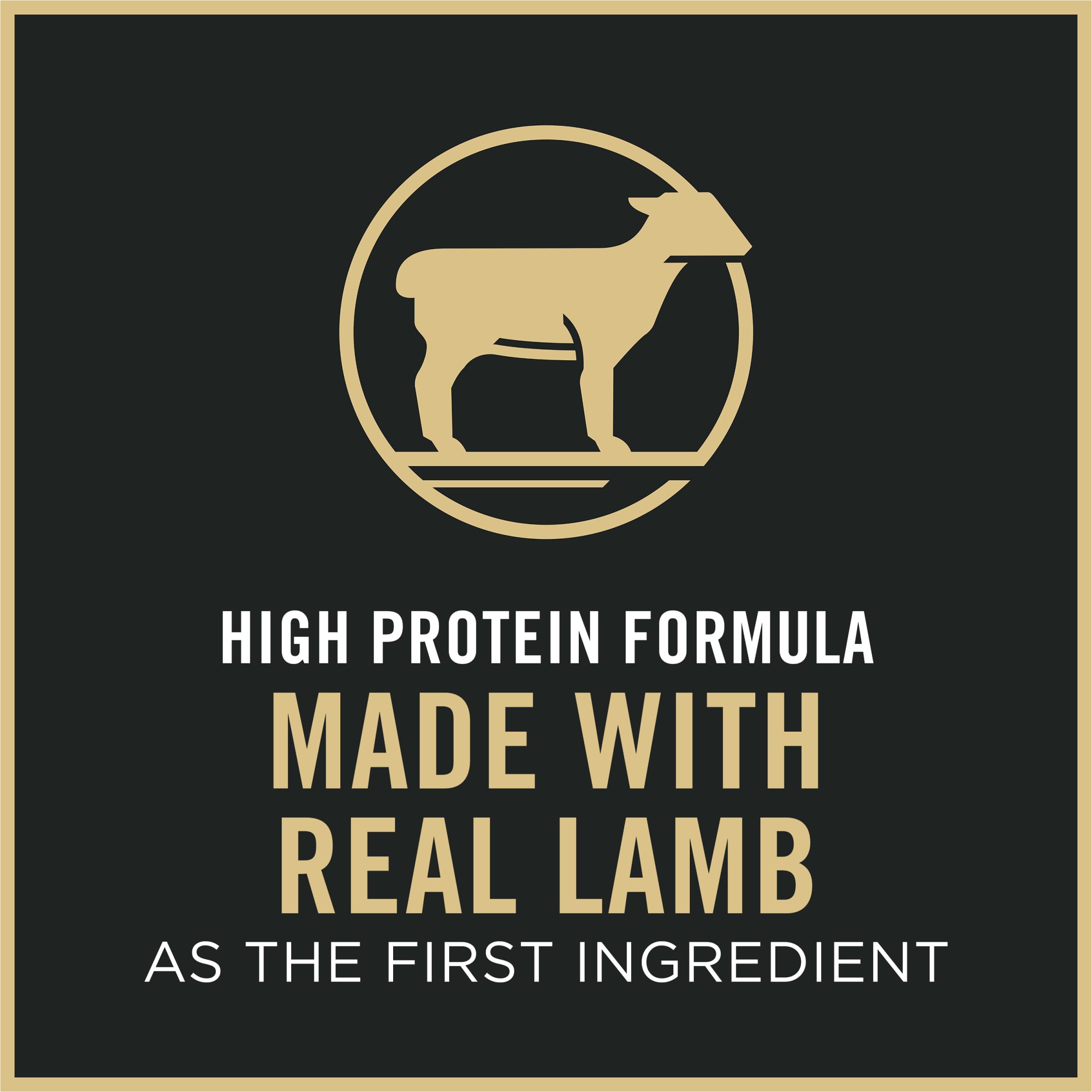 Pro Plan Sensitive Skin and Stomach Cat Food, Lamb and Rice Formula - 7 lb. Bag