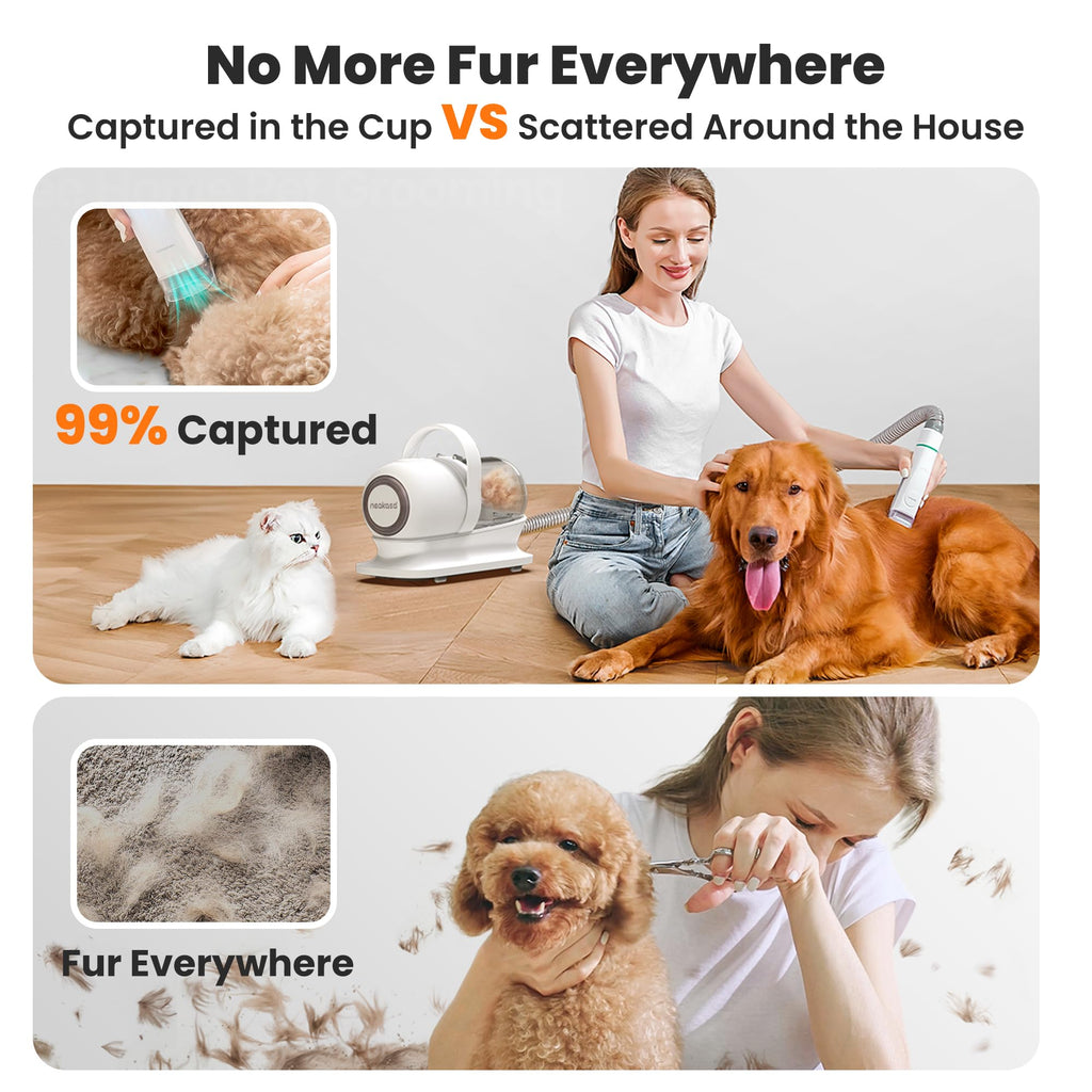 P1 Pro Dog Grooming Vacuum Kit, 6-in-1 Pet Hair Grooming with Clippers and Vacuum, 9000Pa Suction, Low Noise, 1L Dust Cup for Home Shedding & Trimming