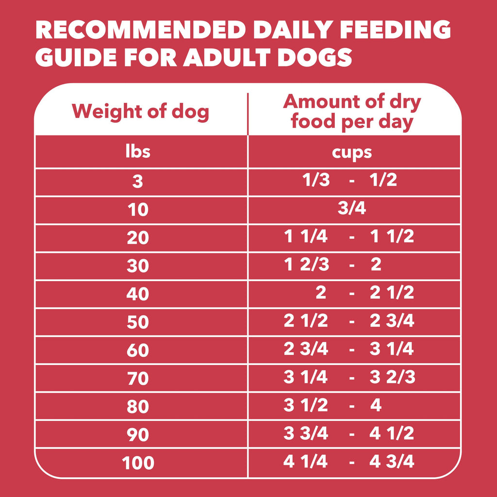 Proactive Health Dry Dog Food, Adult Dog Food Dry Recipe, Lamb & Rice, 30 lb. Bag