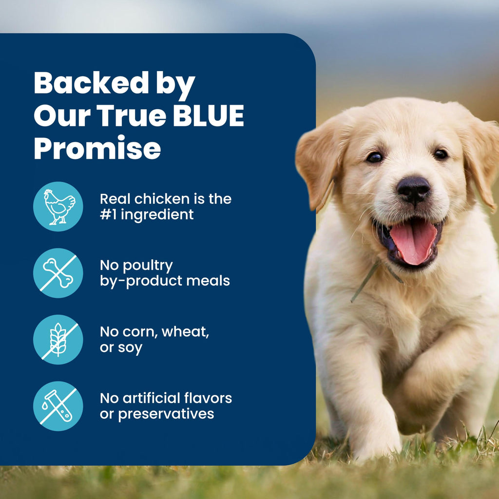 Life Protection Formula Chicken & Brown Rice Puppy Dry Dog Food with DHA & ARA, Supports Immunity with Antioxidant-Rich LifeSource Bits, Promotes Healthy Muscles & Strong Bones, 5 lbs.