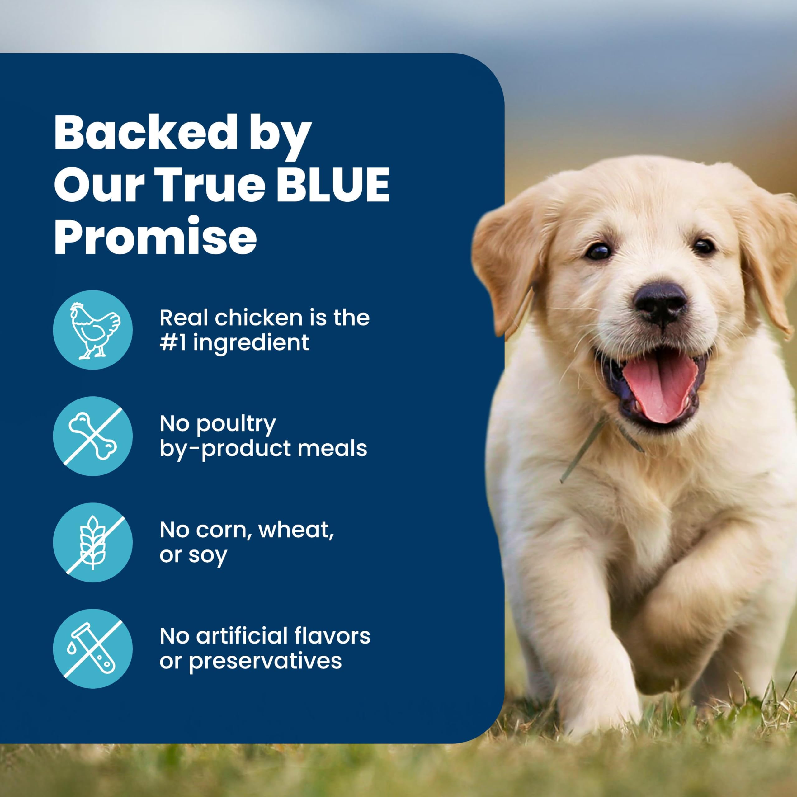 Life Protection Formula Chicken & Brown Rice Puppy Dry Dog Food with DHA & ARA, Supports Immunity with Antioxidant-Rich LifeSource Bits, Promotes Healthy Muscles & Strong Bones, 5 lbs.