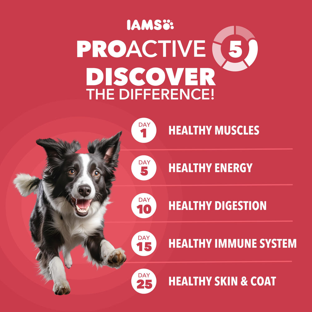 Proactive Health Dry Dog Food, Adult Dog Food Dry Recipe, Lamb & Rice, 30 lb. Bag