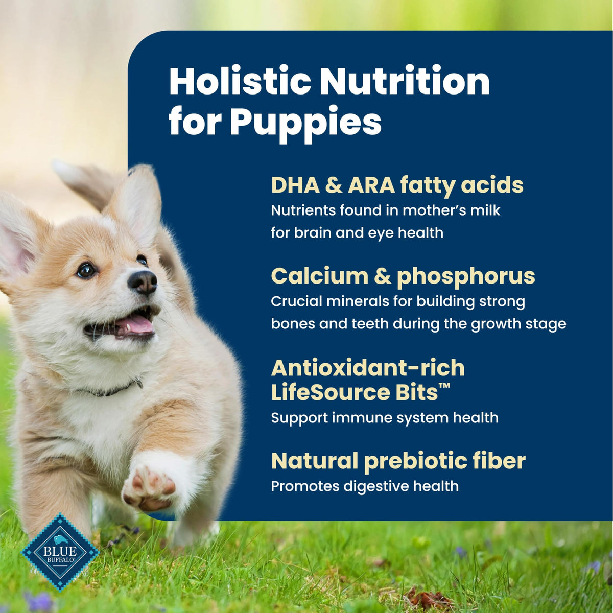 Life Protection Formula Chicken & Brown Rice Puppy Dry Dog Food with DHA & ARA, Supports Immunity with Antioxidant-Rich LifeSource Bits, Promotes Healthy Muscles & Strong Bones, 5 lbs.