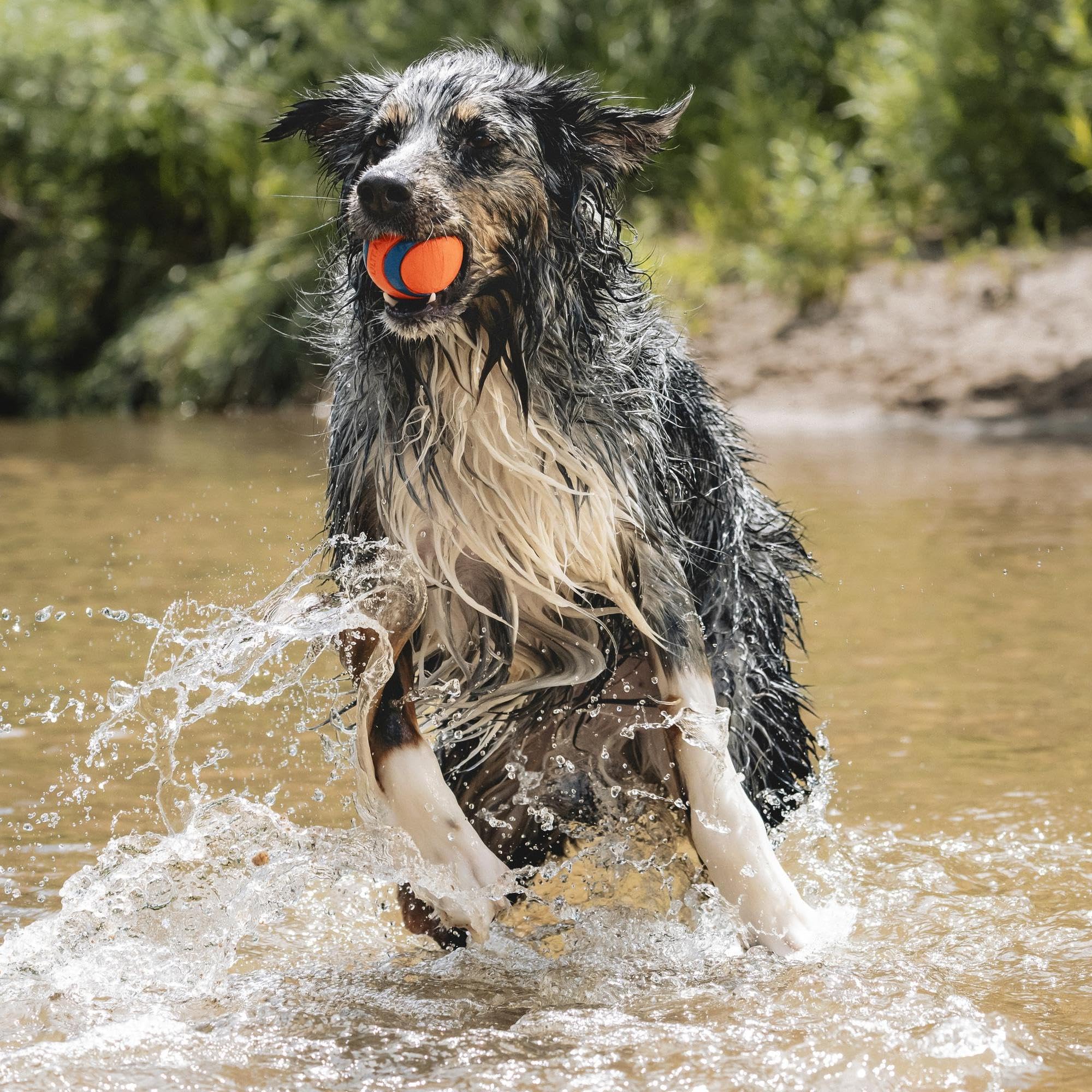 Ultra Ball Dog Toy - Size Large - For Dogs 60-100 lbs - Made from Durable Rubber - Super Bouncy - Floats in Water - 3-inch Diameter - Pack of 1